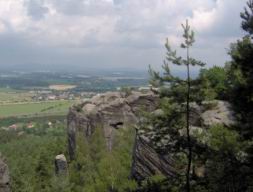 Resize of Talpa 091.jpg